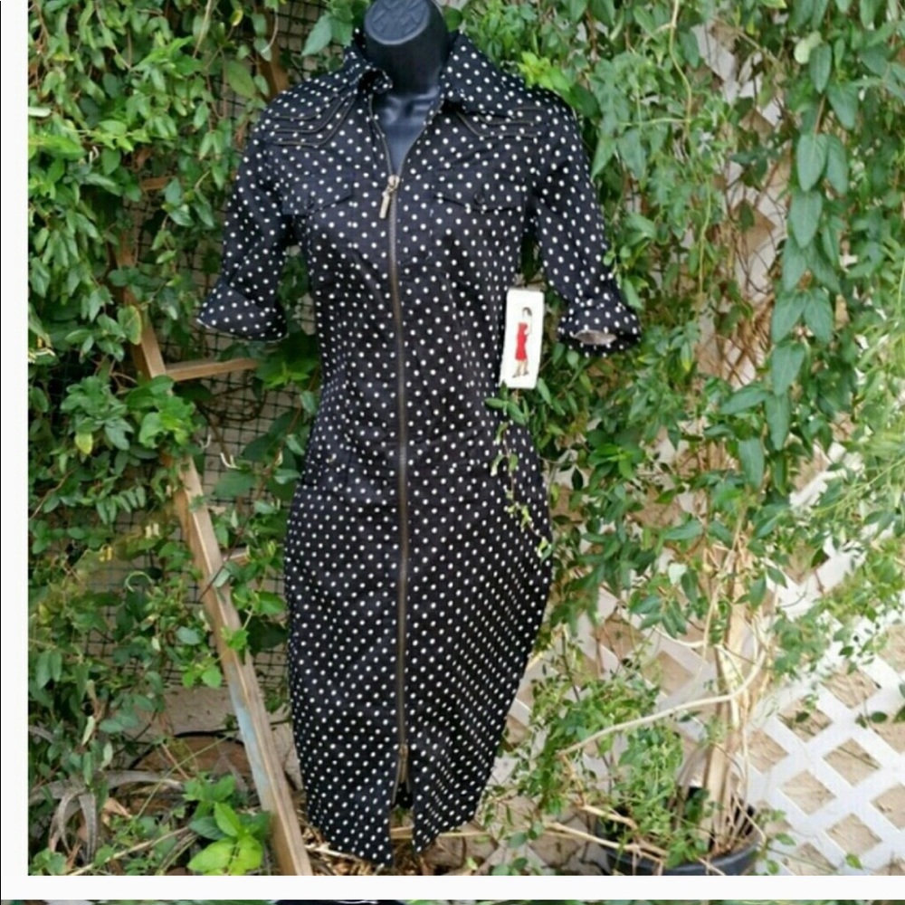 Bettie Page Polka Dot Zipper Dress